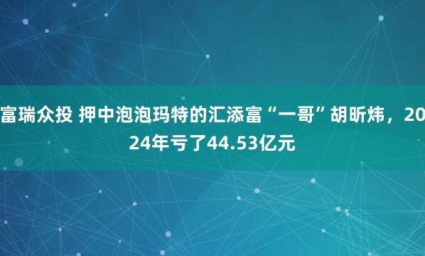 富瑞众投 押中泡泡玛特的汇添富“一哥”胡昕炜，2024年亏了44.53亿元