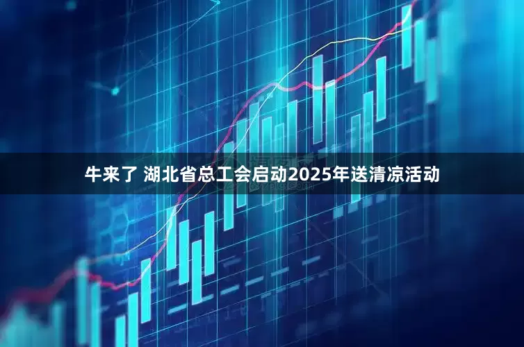 牛来了 湖北省总工会启动2025年送清凉活动