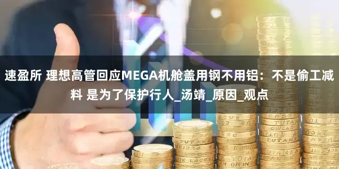 速盈所 理想高管回应MEGA机舱盖用钢不用铝：不是偷工减料 是为了保护行人_汤靖_原因_观点