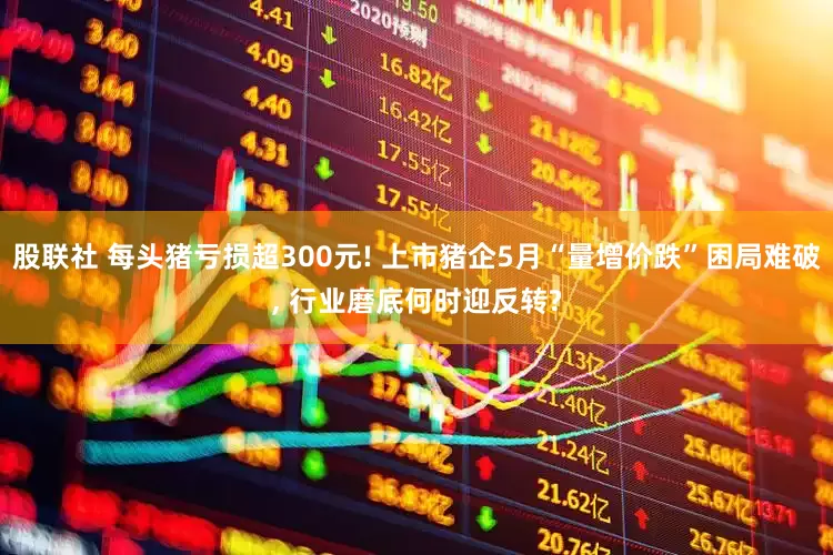 股联社 每头猪亏损超300元! 上市猪企5月“量增价跌”困局难破, 行业磨底何时迎反转?